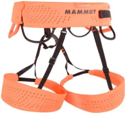 Mammut Sender Harness Rock Climbing Harness