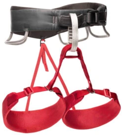Black Diamond Momentum Women's Rock Climbing Harness